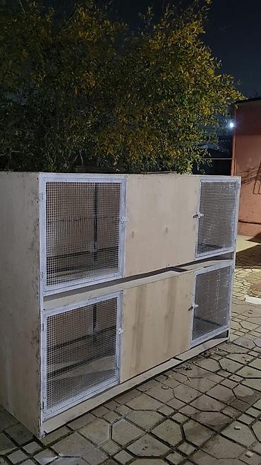 bildircin qəfəs: Qefesistenilen ölçüde yığıram demir profille Altı syurmayla — 1