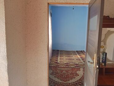 Дрова: Дрова — 6