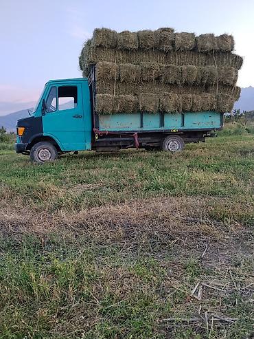 ош электро муравей: Легкий грузовик, Mercedes-Benz, Стандарт, Б/у — 1