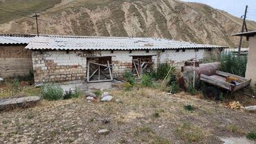 Сельхоз предприятия: Продаю Кошара, 2000 соток, Не действующий, Частично с оборудованием, Электричество — 8