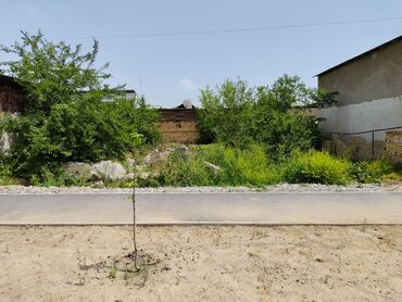 жалал абад кыз керек: 4 соток, Бизнес үчүн, Кызыл китеп