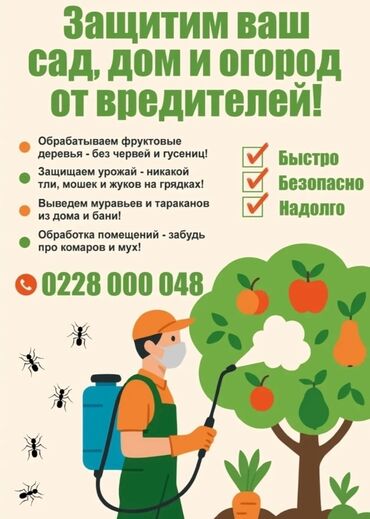 спринтер на заказ фото: Предлагаем услуги по защите вашего сада, дома и огорода от вредителей