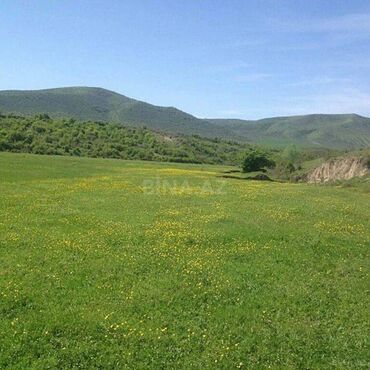 ehmedli ev alqi satqisi: 200 sot, Kupça (Çıxarış)