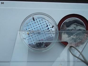 Ostali medicinski proizvodi: Stomatološke posude II Petri šolje Podeljene petri šolje Inox opal — 8