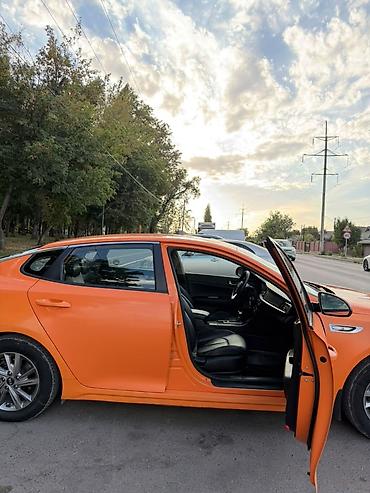 кормашки для к5: Kia K5: 2019 г., Автомат, Седан — 2