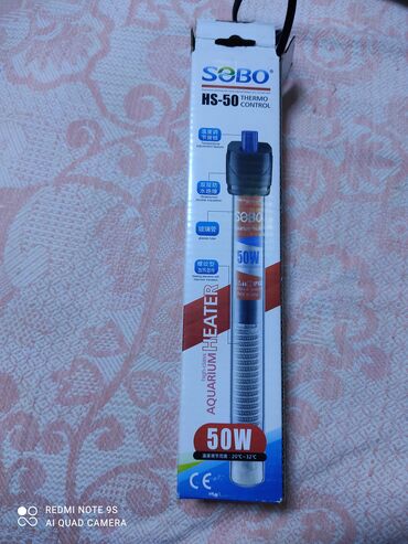 Аквариумы: Водоросли живые: Анубиас Бартера нана ( цветёт белыми и розовыми — 8