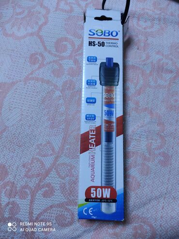 Аквариумы: Водоросли живые: Анубиас Бартера нана ( цветёт белыми и розовыми — 20