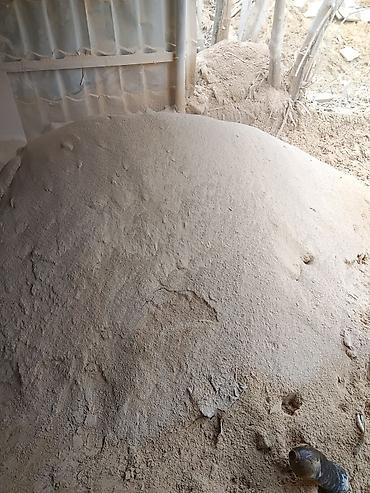 tamer: Məhsul: Daş tozu)

Təsvir:
- Quru, incə fraksiya — 1