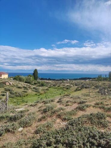 дома нижняя ала арча: 5 соток, Курулуш, Кызыл китеп