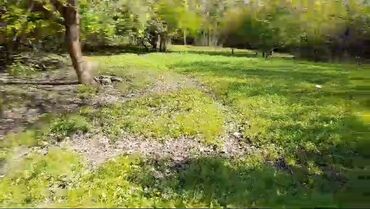 Torpaq sahələrinin satışı: 85 sot, Kənd təsərrüfatı, Mülkiyyətçi, Kupça (Çıxarış) -da lalafo.az — 9 Torpaq sahələrinin satışı: 85 sot, Kənd təsərrüfatı, Mülkiyyətçi, Kupça (Çıxarış) — 9