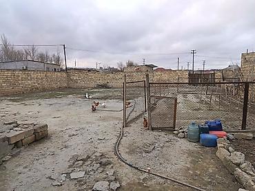 yaponka satışı: Salam xocasen m/s 5 deqiqelik mesafede sahil sadliq sarayin arxasinda — 2