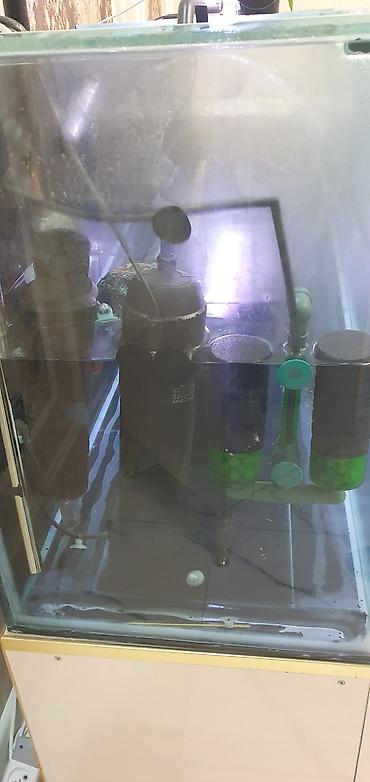 akvarium lampa: 450 litr həcmli böyük akvarium satılır. (2000₼ pul qoyulub) premium — 8