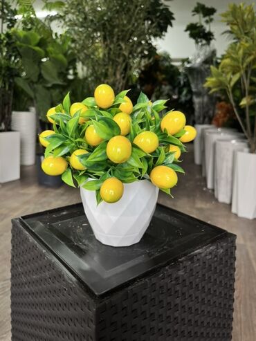 Декоративные цветы: Искусственные деревья — это идеальное решение для оформления интерьера at lalafo.kg — 8 Декоративные цветы: Искусственные деревья — это идеальное решение для оформления интерьера — 8