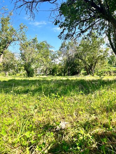 участок с домом: Срочно!!! Красная книга 1,0 га (фактически 1,15га) (производство и