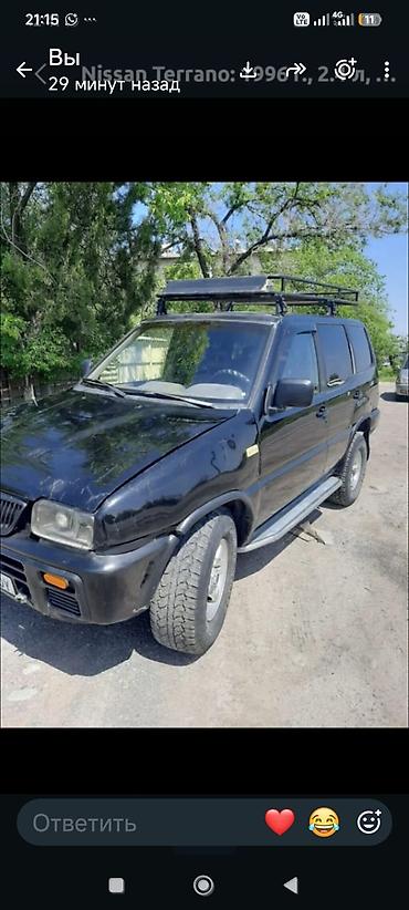 боковая: Nissan Terrano: 1996 г., 2.4 л, Механика, Бензин, Внедорожник — 1