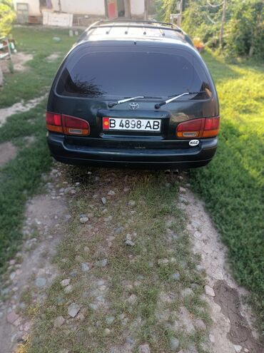 Toyota: Toyota Camry: 1995 г., Бензин, Универсал — 7