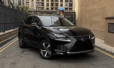 infinity qx56: Lexus NX: 2019 г., Гибрид, Кроссовер — 1