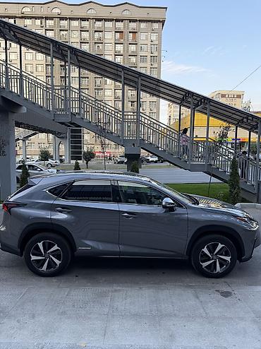 Lexus: Lexus NX: 2020 г., 2.5 л, Вариатор, Гибрид, Кроссовер — 7