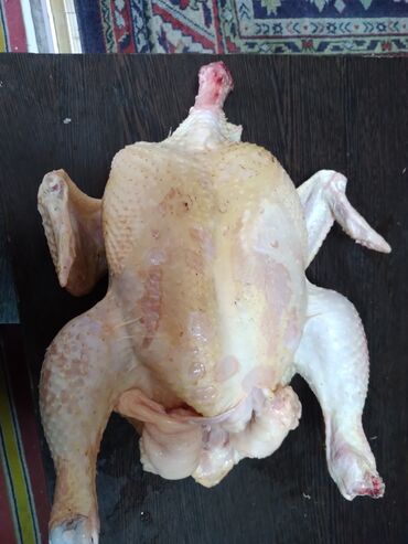 купить курицу в бишкеке: Куры домашние( бройлеры) Arborio тушки есть пожирней и по постнее на