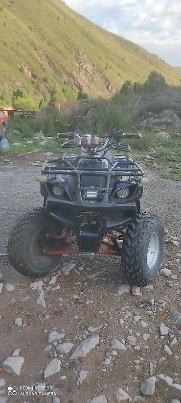 яди мото: Квадроцикл Yamaha, Бензин, 200 куб. см, Взрослый — 1