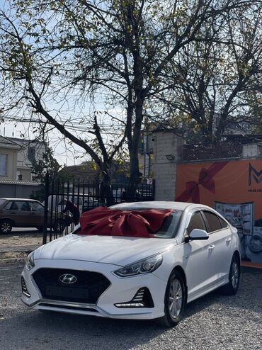 машины 2010 года и выше: Hyundai Sonata: 2020 г., 2 л, Автомат, Газ, Седан