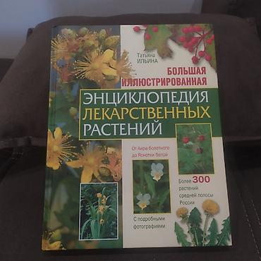 Энциклопедия лекарственных растений (Большая иллюстрированная) Татьяна