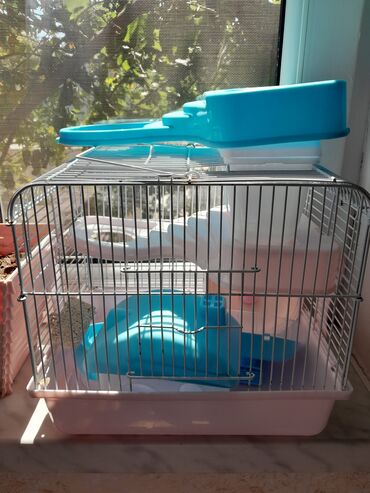 hamster qefes: Qefes 30sm 30 hu en 25 kiciy bir qefes 15 azen icinde hersey var dolu