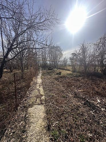 Продажа коттеджей и домов: 📍 В Шопокове продается дом на участке 14 соток, 70 кв.м. 🏡Дом без — 4