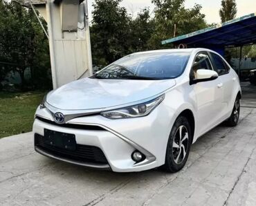 coroll: Toyota Corolla: 2019 г., 1.8 л, Автомат, Гибрид, Седан
