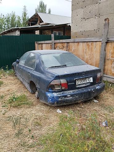 honda акорд битый: Honda Accord: 1998 г., Седан — 2