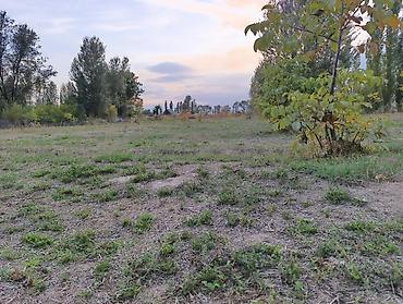 Продажа участков: 6 соток, Для строительства, Красная книга, Договор купли-продажи — 1