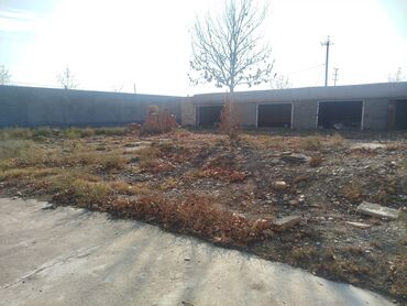 Ofislər: Goranboy Rayonu Balakurd kendi yerlesir. qeyri yasayis teyinatli tikli — 5