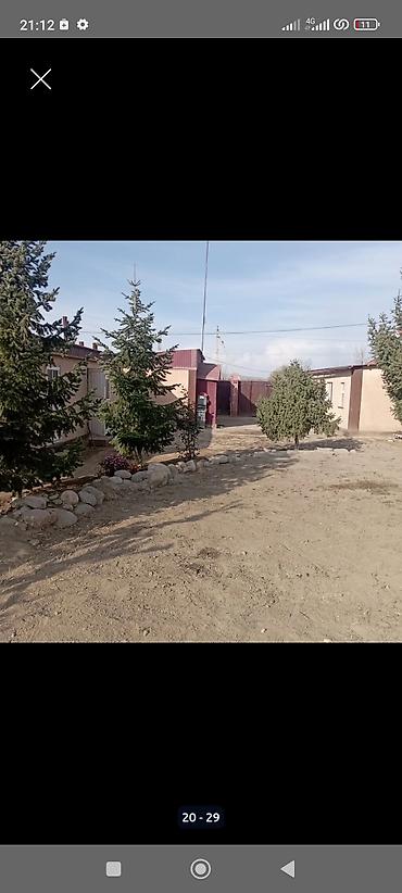 Продажа участков: 25 соток at lalafo.kg — 10 Продажа участков: 25 соток — 10