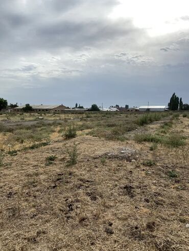 токмок продажа: 26 соток, Бизнес үчүн, Кызыл китеп