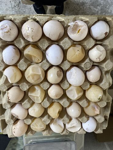 Разнокалиберные битые яйца по дешевой цене