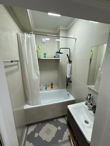 ленина: 4 комнаты, 100 м², Аламединский рынок / базар Элитка, 4 этаж, Евроремонт — 5