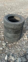шины на мазда: Зимние шины размер 13 at lalafo.kg шины на мазда: Зимние шины размер 13