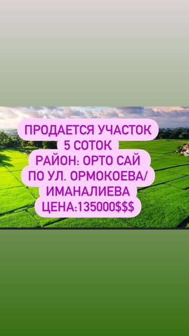 токтогул жер: 5 соток, Курулуш, Кызыл китеп, Техпаспорт