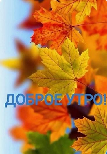 ищу кватира: 2 комнаты, 40 м², С мебелью полностью — 1