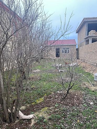 mehemmedi torpaq satilir: 4 sot, Tikinti, Mülkiyyətçi, Kupça (Çıxarış) — 1
