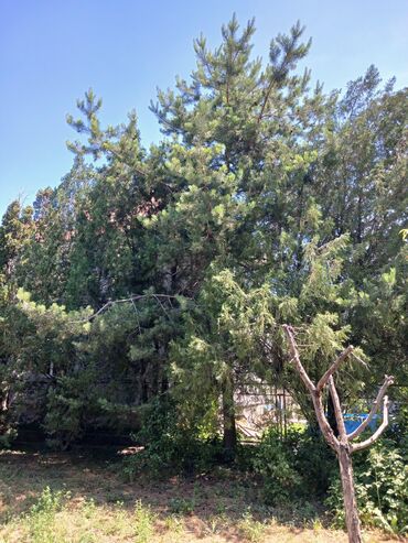 Продажа домов: Дом, 88 м², 4 комнаты, Агентство недвижимости, Косметический ремонт — 23