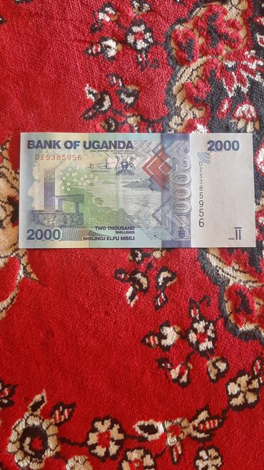 Əskinaslar: 5 2000 il, Vəziyyəti: Əla — 17