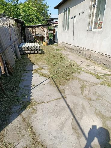 капаем огороды: Уборка территории, Уборка двора и сада — 3