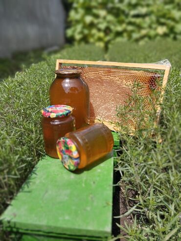 бал мед: Zaqatala dağ may ve çökek bali ve petelerin satişi, 100%, temiz balar