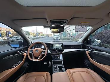 Weltmeister: Weltmeister W6, 2021 г., 60000 км, На заказ — 4