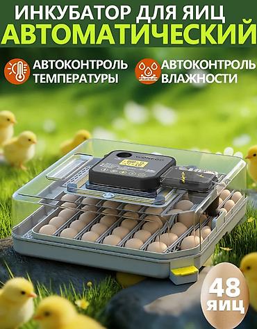 инкубаторы несушка: Инкубатор для яиц WONEGG на 48 яиц - Вместимость: до 48 — 1