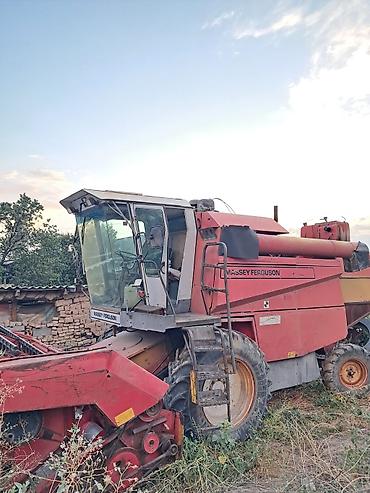 зерновой шнек: Комбайн зерноуборочный Massey Ferguson - Марка/линейка: Massey — 4