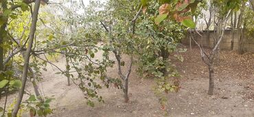 Həyət evləri və villaların satışı: 7 otaqlı, 150 kv. m, Kredit yoxdur, Orta təmir — 15