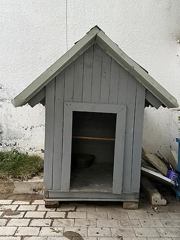 tap. az itler: İt yuvasi ölçüsü boyukdu iki qatli taxtayla tikilib taxtaların arasi — 1
