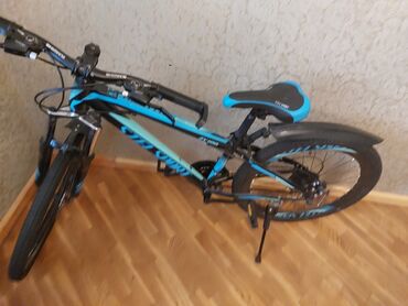 meiredi bike: Новый Двухколесные Детский велосипед Stels, 24", скоростей: 7, Самовывоз